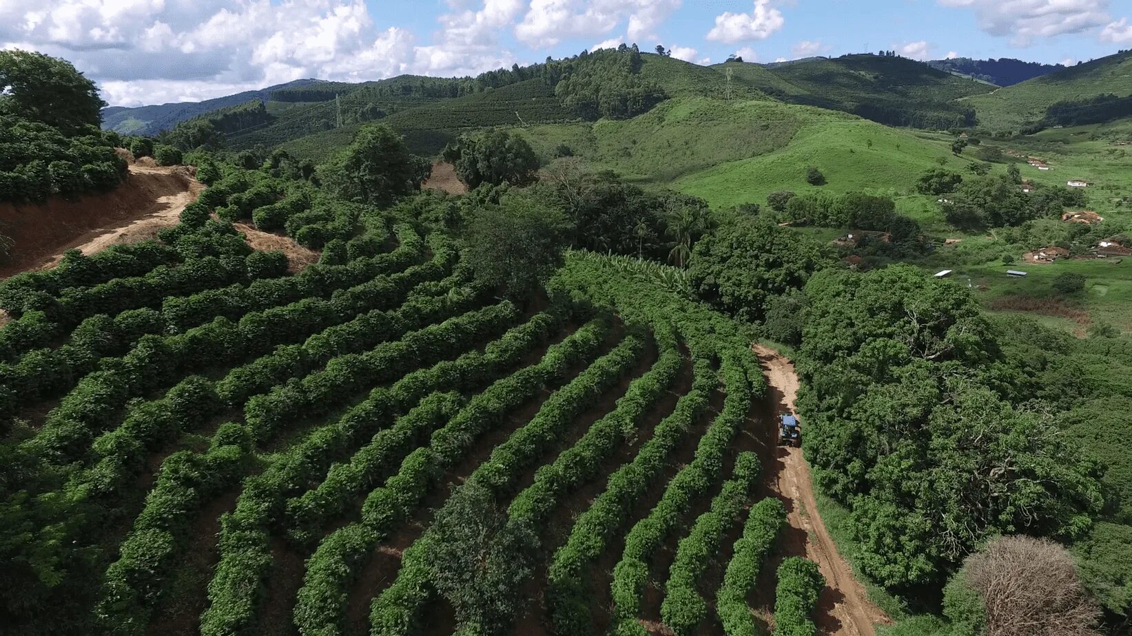 Колумбия страна кофе. Плантации кофе в Бразилии. Кофейные плантации в Бразилии. Анды Колумбия кофейные плантации. Коста Рика кофейные плантации.