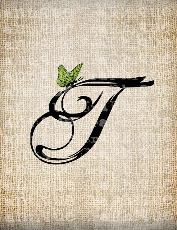 T script