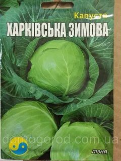 Харьковская капуста описание