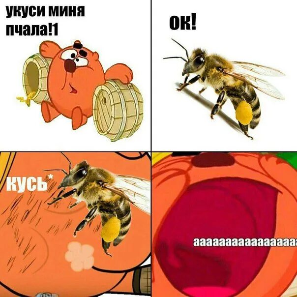 Мем укусила пчела. Укуси меня пчела мем. комикс про пчел и ос. укуси меня пчела спать.