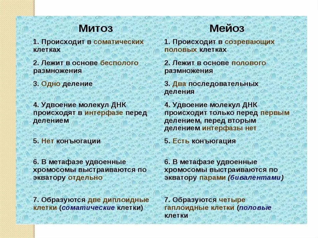 Чем отличаются половые клетки. Сходство соматических и половых клеток. Различия соматических и половых клеток. Отличия соматических и половых клеток таблица. Соматические и половые клетки.