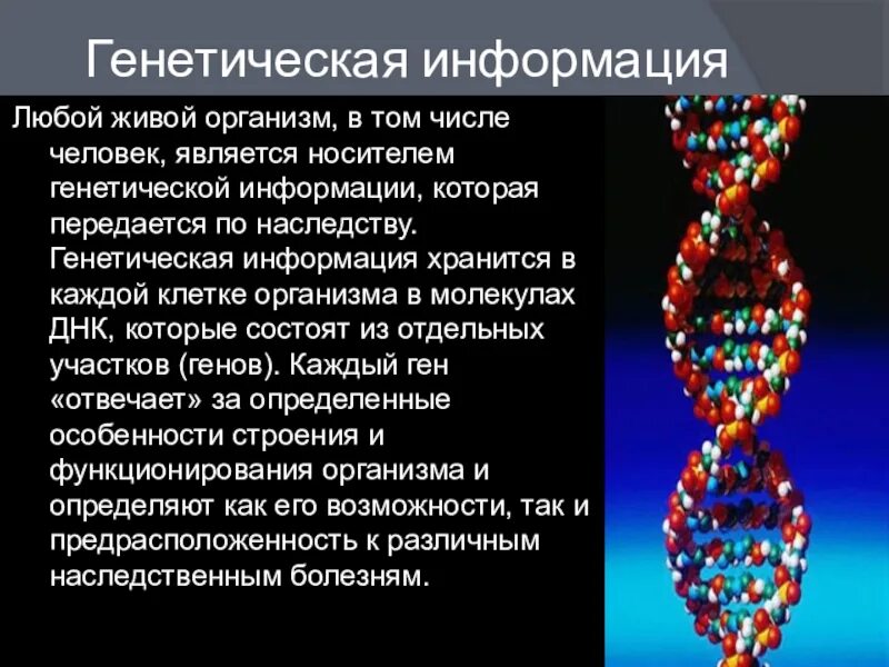 Носитель генетической информации. ДНК носитель наследственной информации. ДНК как носитель генетической информации.