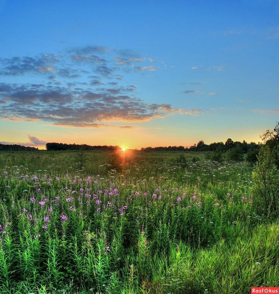 Прекрасного июльского дня. Июльский. Июльский. Июльский пейзаж. Кострома природа пейзажи.