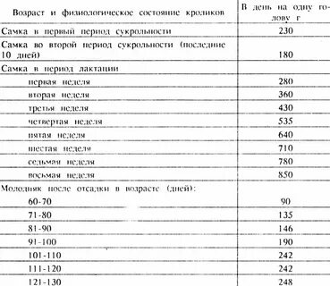 Сколько раз кормит крольчиха крольчат в сутки