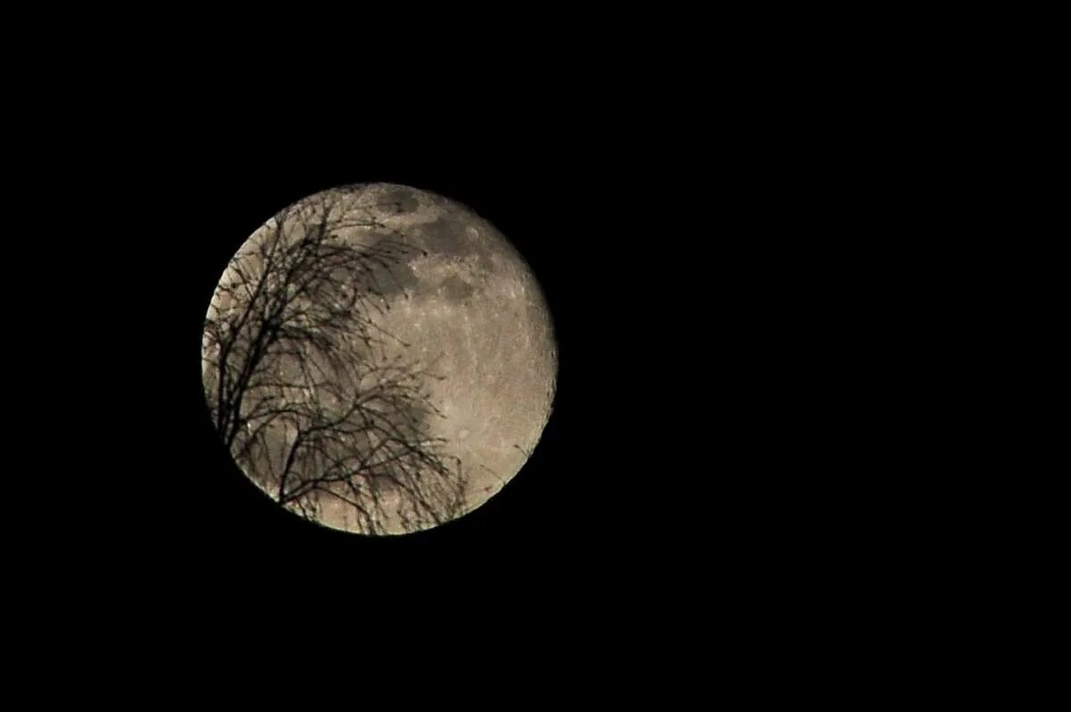 самсунг луна. снимок луны. 2005. Sky eye телескоп. 10 лунные сутки.