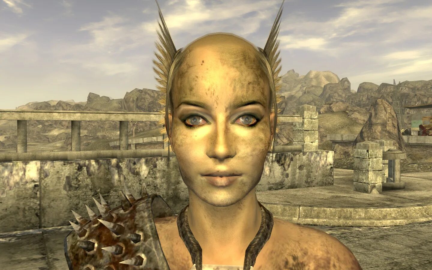 Fallout raider. Fallout 3 рейдеры. fallout nv рейдеры. fallout new vegas рейдеры. рейдеры фоллаут 3.