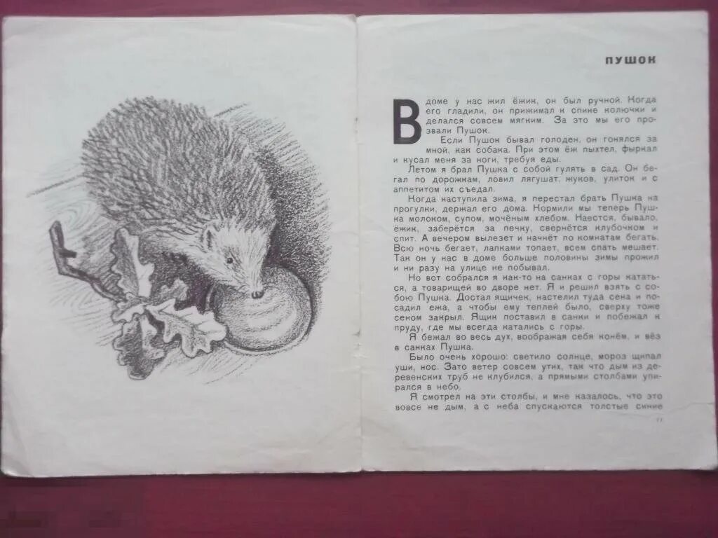 Жила-была собака. У сергея ивановича была собака. Рассказ георгия скребицкого пушок. У сергея ивановича была собака. Собаке качалова есенин.