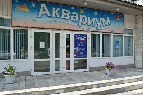 Зоомагазин саранск