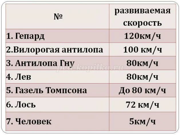 Скорость 10 м это сколько. Мах скорость в км/ч. Скорость 1 Мах это сколько в км/ч. Скорость одного Маха в километрах. Скорость в махах это сколько в километрах.