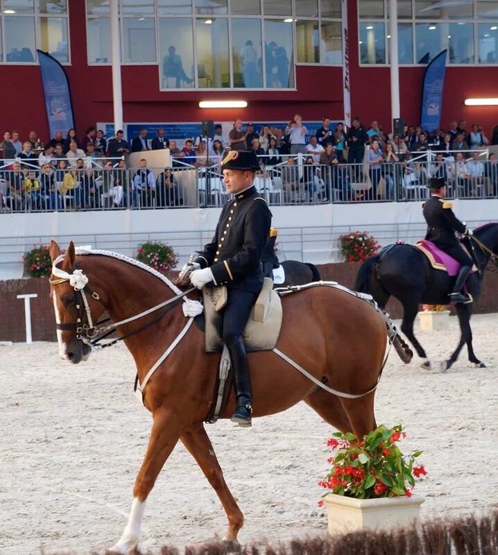 Всемирные конные игры. Лошадиный праздник. Нормандия лошади. Всемирные конные игры флаг. Праздник коня 2024