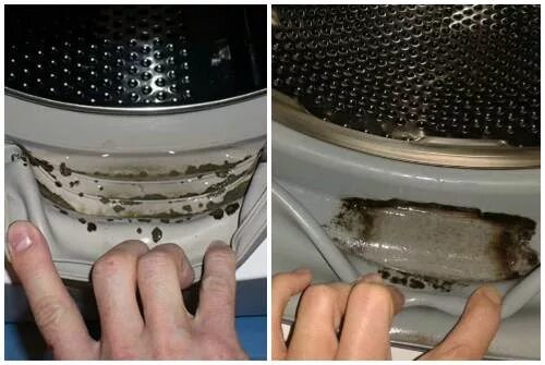 Как удалить плесень из стиральной машины. Как почистить стиральную машину. Резинка для стиральной машины. Плесень в стиральной машине. Плесень в стиральной машинке.