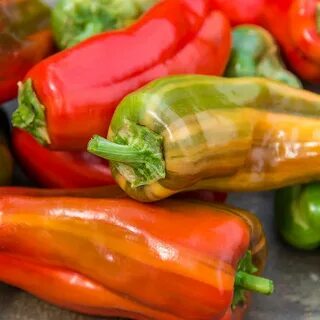 New peppers