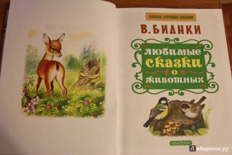 Сказки о животных обложка книги. Бианки рассказы о животных. Бианки в. "сказки о животных". Обложки книг Бианки.