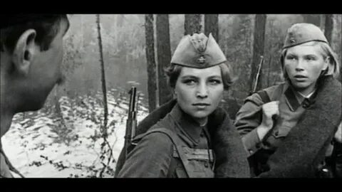 А зори здесь тихие командир