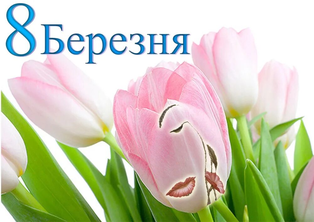 8 березня открытки. Зі святом 8 березня. з 8 березня открытки. вітаю з 8 березня. зі святом весни 8 березня.