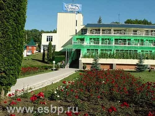 Лагерь сосновый бор кисловодск. Санаторий сосновый бор кисловодск. Детский лагерь сосновый бор кисловодск. Лагерь сосновый бор барнаул. Лагерь сосновый бор кисловодск.