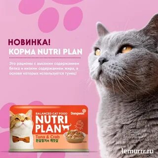 Nutri plan