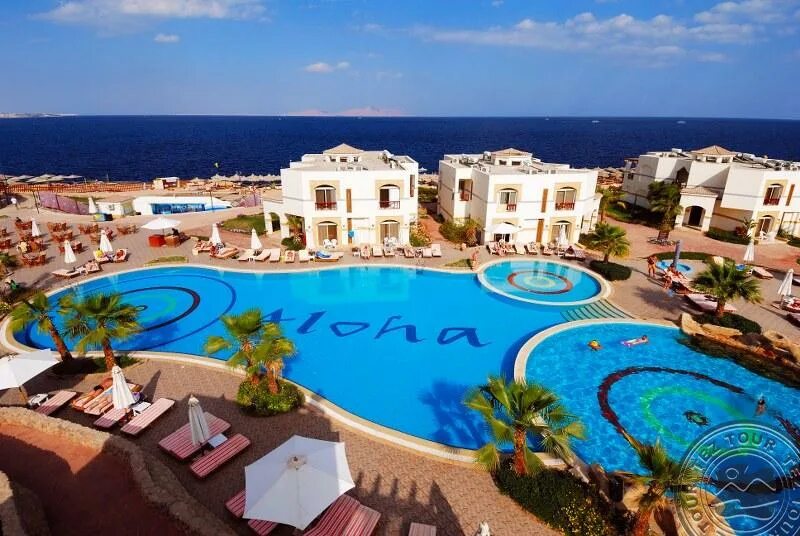 Aloha Sharm Hotel 4*+Шарм Эль Шейх. Отель АЛОХА Египет Шарм Эль. Отель Шорес АЛОХА Египет. Otium Park Amphoras Blu Resort 4 Египет Шарм-Эль-Шейх.