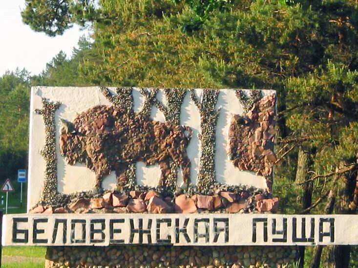 Беловежская пуща р34. Национальный парк беловежская пуща беларусь. Беловежская пуща р34. Белоруссия беловежская пуща зубр. Беловежская пуща достопримечательности беларуси.