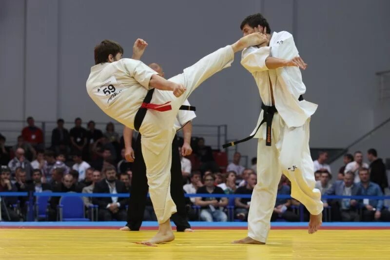 удар в карате маваши гири. киокусинкай каратэ маваши гери. удары головой в каратэ. удары головой в каратэ. скотт эдкинс каратэ.