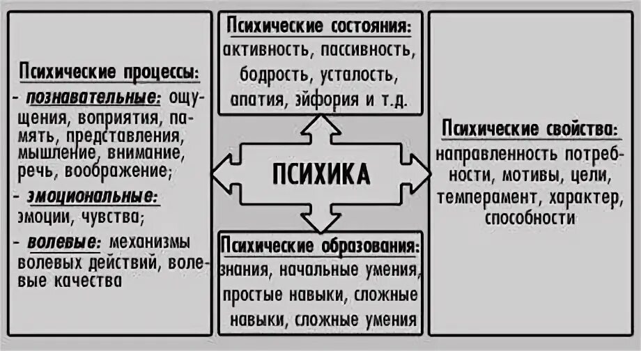 Структура психики психические процессы состояния и свойства