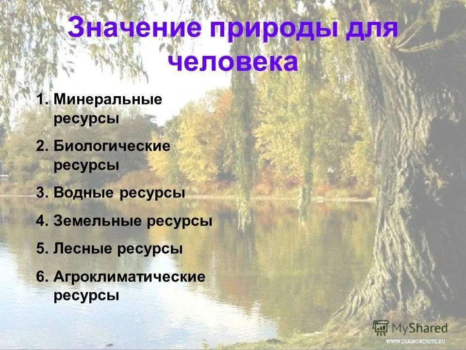 Значение в природе для человека 5. Значение в природе для человека 5