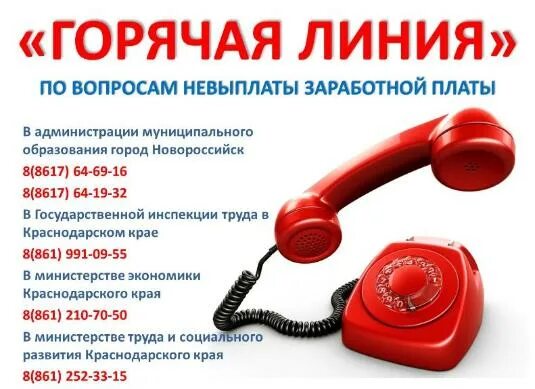 Samsung номер телефона горячей линии. Телефон горячей линии автобусов москва. Позвонить на горячую линию. Телефон горячей линии автобусов москва. 8 800 2000 600 номер.