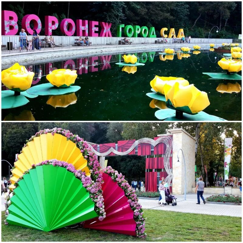 Садовые цветы воронеж. Питомник растений подворье. Цветочный базар. Фестиваль город сад воронеж. Garden plants интернет магазин растений.