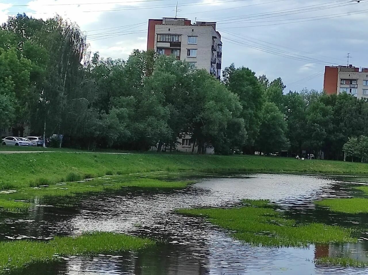 Пр рекаться пр брежный пр возмочь. Река Дачная СПБ. Река Дачная Кировский район. Река Дачная Арсеньев. Рекка Дачная сквер Санкт Петербург.