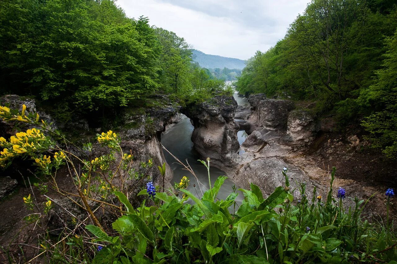 Г адыгея краснодарский край