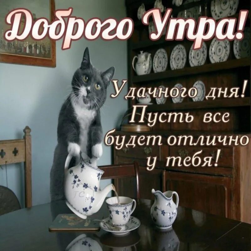 Удачного первого рабочего дня