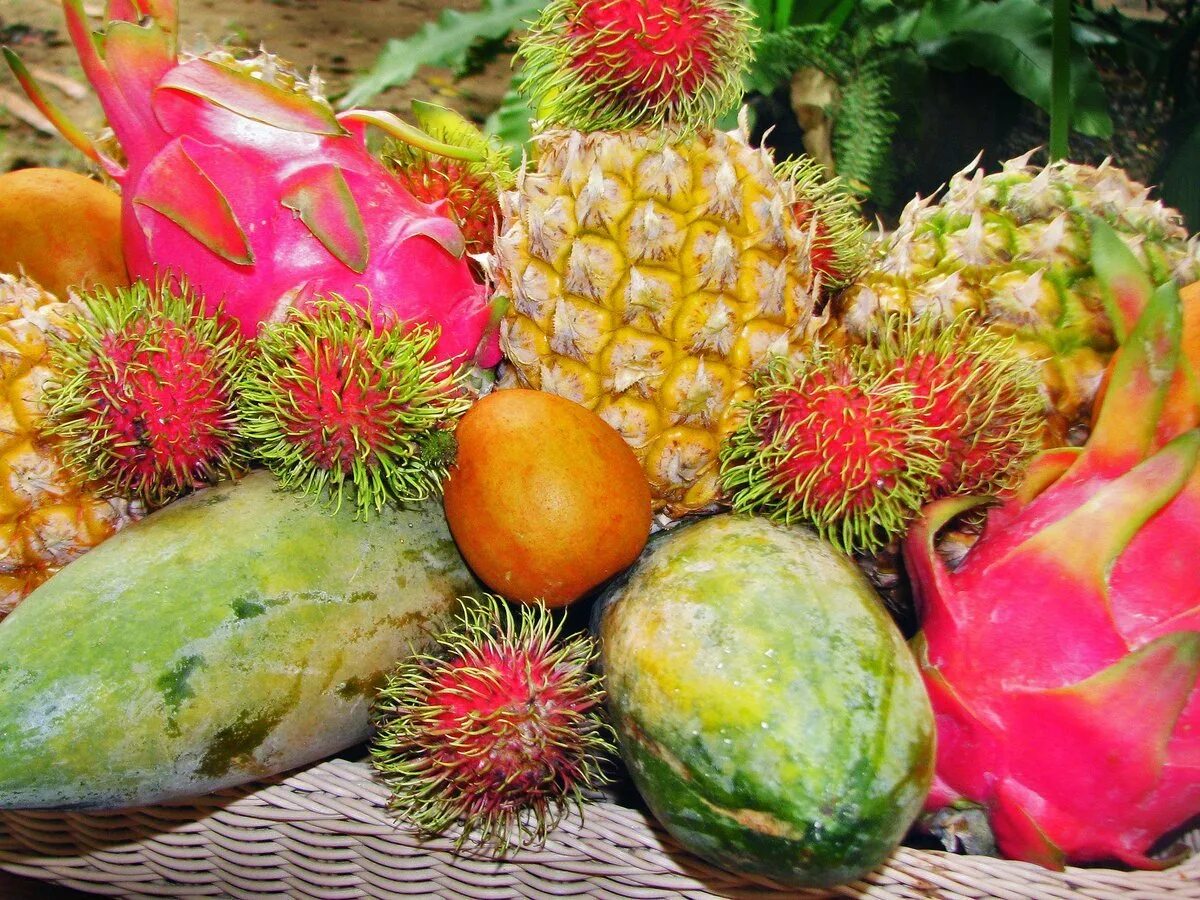 Фрукт Нубия. Питахайя дуриан. Зеленый фрукт Тайланд. БАМ-Балан фрукт.