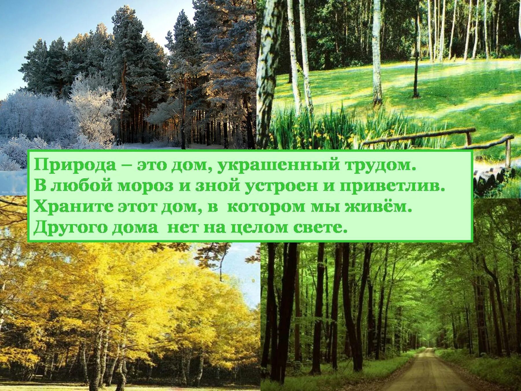 Стих разнообразие