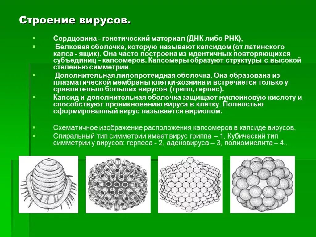 Типы симметрии вирусов. Кубический Тип симметрии вирусов. Сложный Тип симметрии вирусов. Кубический и спиральный Тип симметрии вируса.