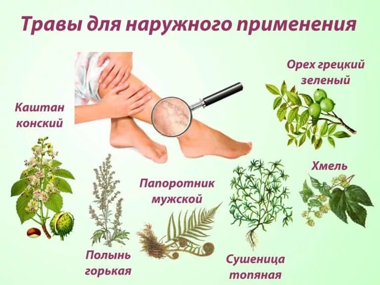 Почечный чай фармацвет. Лекарственный компресс. Ванночки для ног с отварами трав. Сбор трав ревматоидный артрит. Травяные сборы ревматоидный артрит.