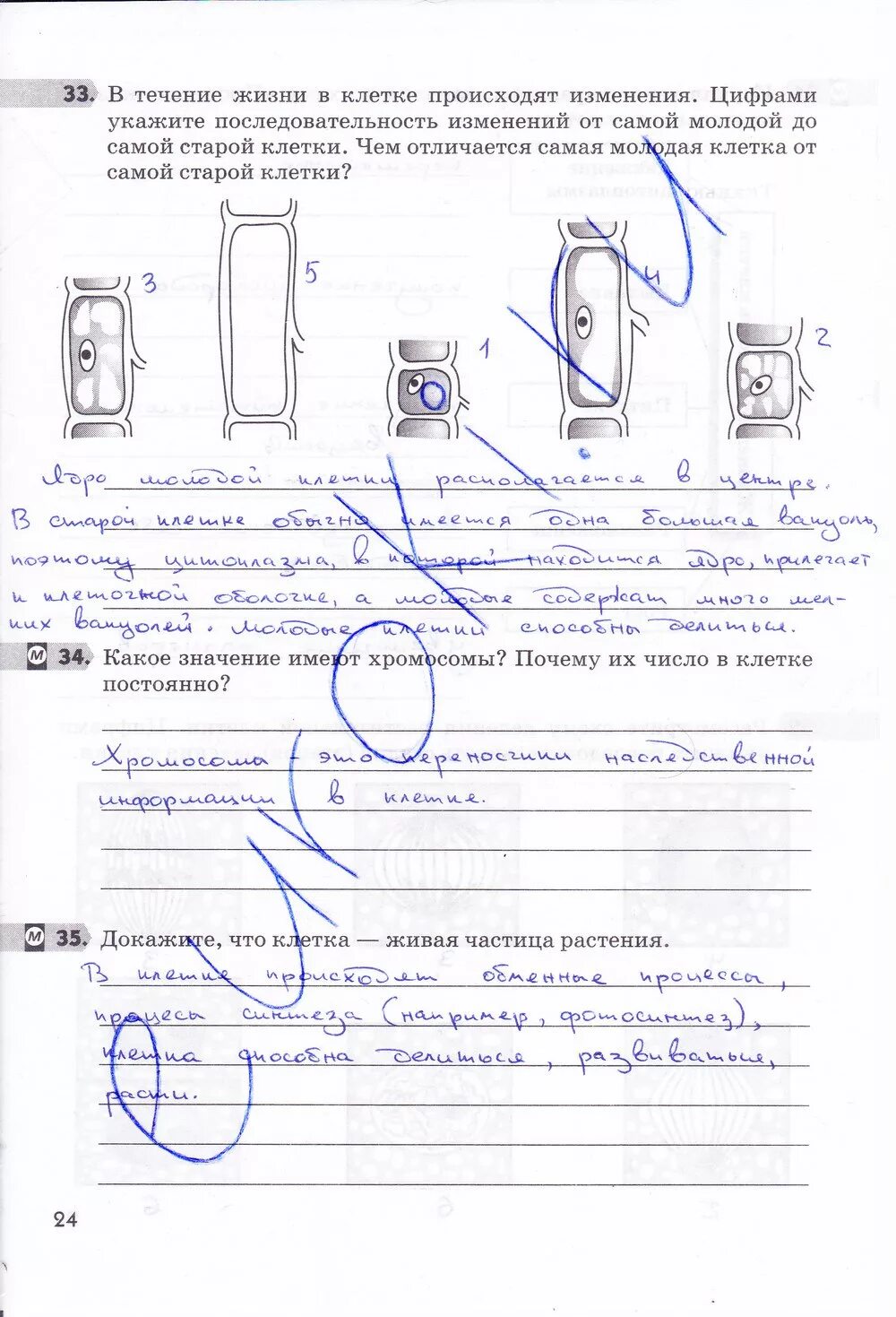 Биология 5 класс стр 21 ответы. Рабочая тетрадь по биологии 5 класс Пасечник стр.24. Биология 5 класс рабочая тетрадь Пасечник стр 24 упр 33. Биология 5 класс рабочая тетрадь Пасечник стр 18 номер 24. Биология рабочая тетрадь 5 класс Пасечник стр 22_24.