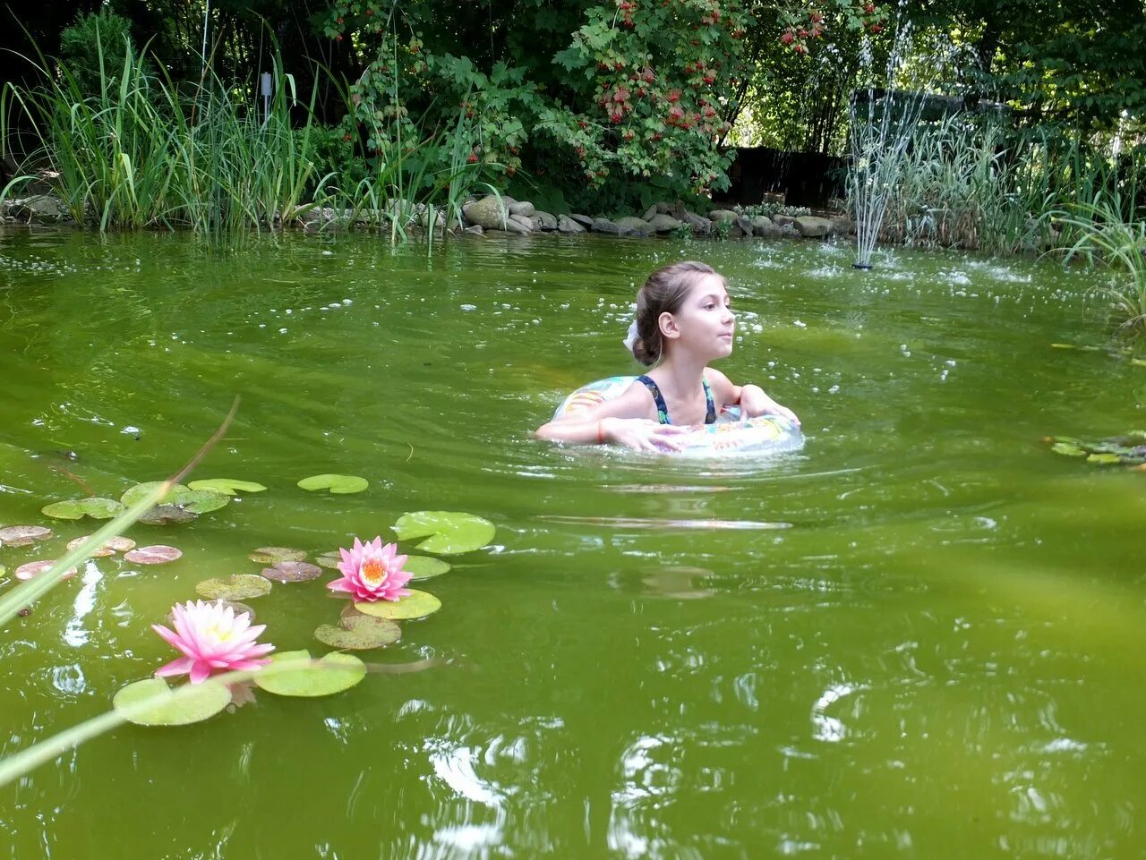 Зеленый купаться. Купание в водоемах. Купаться в озере. Купаются в пруду. Девушка купается в пруду.
