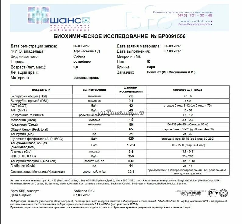 Амилаза в моче повышена. Амилаза и щелочная фосфатаза. Норма щелочной фосфатазы. Альфа амилаза общая. Альфа амилаза щелочная фосфатаза.