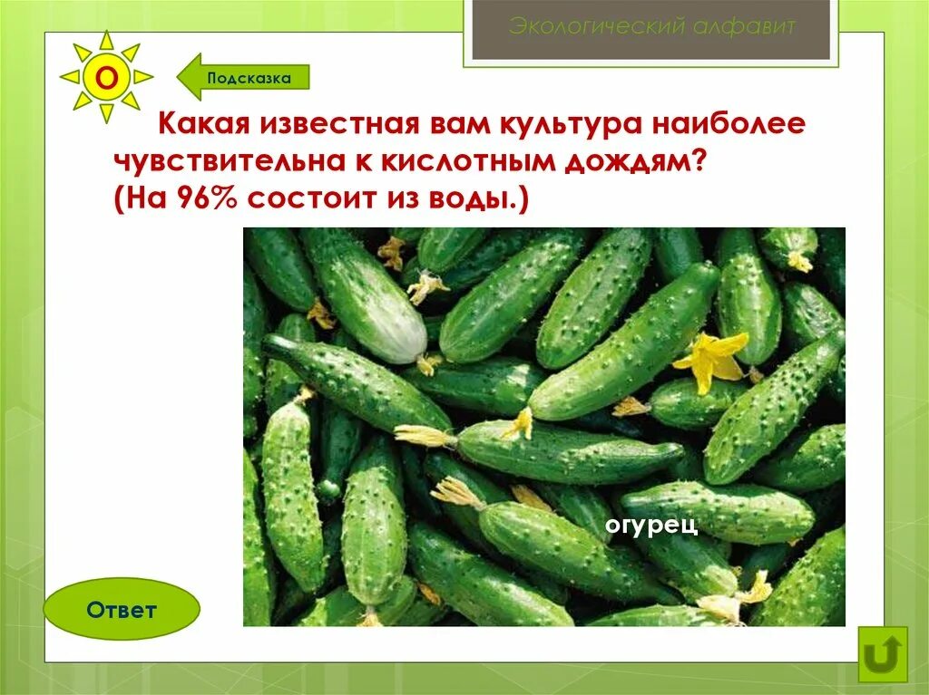 Процент воды в огурце. Огурец алфавит. На сколько огурец состоит из воды. Огурец алфавит фото. На сколько процентов огурец состоит из воды точно.