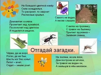 На большой цветной ковер села
