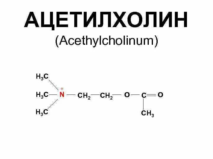Ацетилхолин формула химическая. Ацетилхолин химическое строение. Химическая структура ацетилхолина. Ацетилхолин структурная формула.