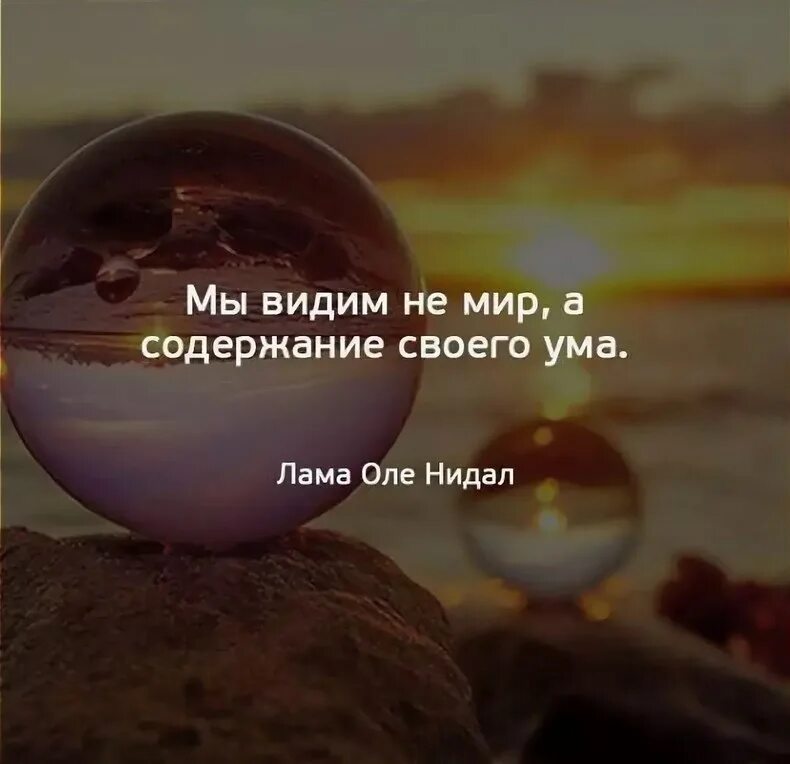 Видим его одинаково. Цитаты про мир. Афоризмы свой мир. Цитаты о мире вокруг нас. Наш мир цитаты.