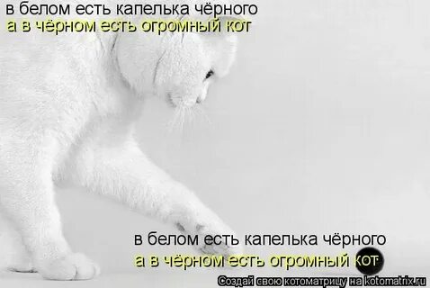 Белая кто же знал