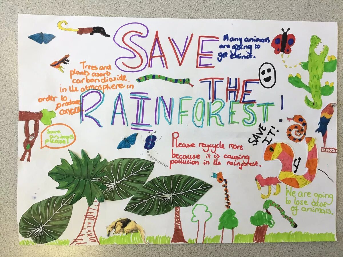 Спасите тропические леса плакат. Save the Rainforests плакат. Плакат про тропические леса. Защитим тропические леса плакат. Making our world