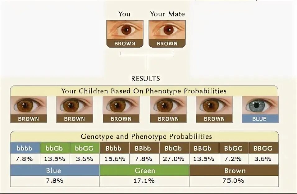 Какие глаза будут у ребенка. Наследование цвета глаз у человека таблица. Таблица цветов глаз родителей и детей. Цвет глаз у ребёнка от родителей таблица.