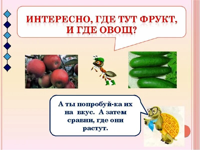 Класс овощей школа. Окружающий мир овощи и фрукты. Фрукты и овощи 1 класс. Овощи окружающий мир. Овощи и фрукты окружающий мир 1 класс.