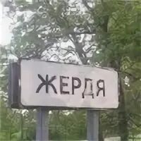 Жердя