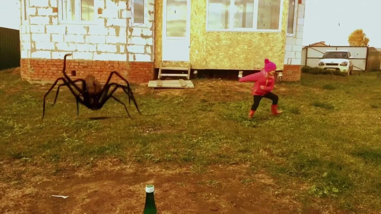 Пауки атакуют. Нападение гигантских пауков. Гигантские пауки нападают.