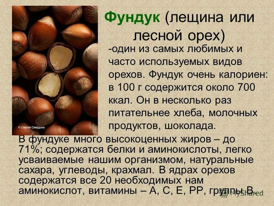 Фундук полезные свойства. Польза фундука ореха. Фундук неочищенный. Орехи фундук вред. Фундук полезные свойства.