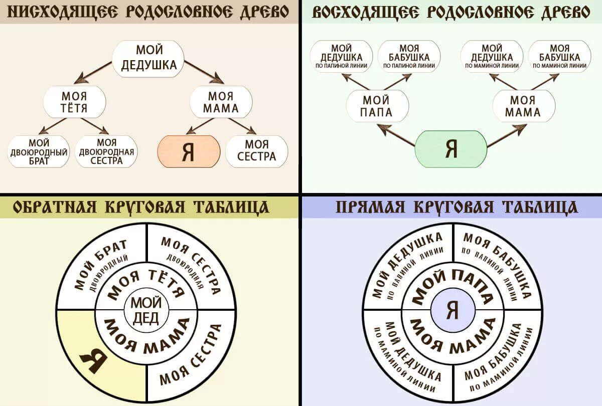 Виды родословных древ